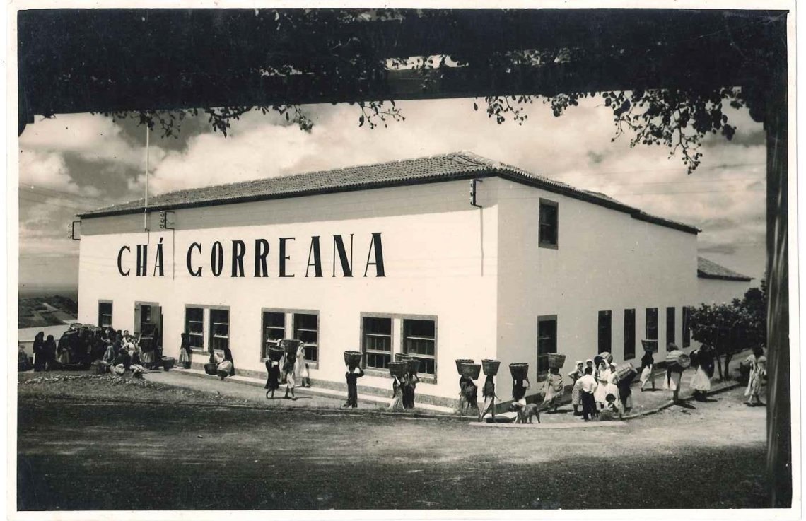 The historic Chá Gorreana factory
